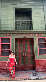 Vestido Karem